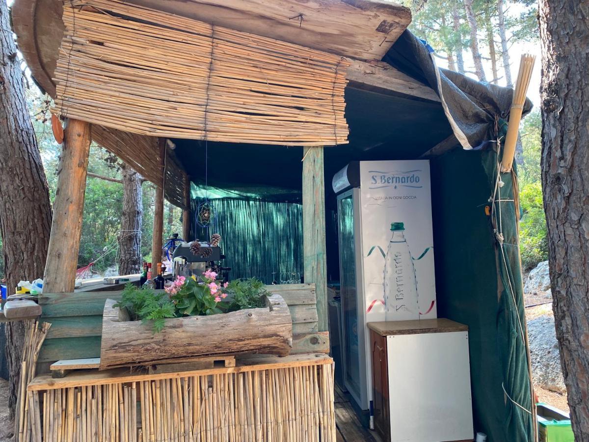 Pine Side Camp Ξενοδοχείο Χειμάρρα Εξωτερικό φωτογραφία
