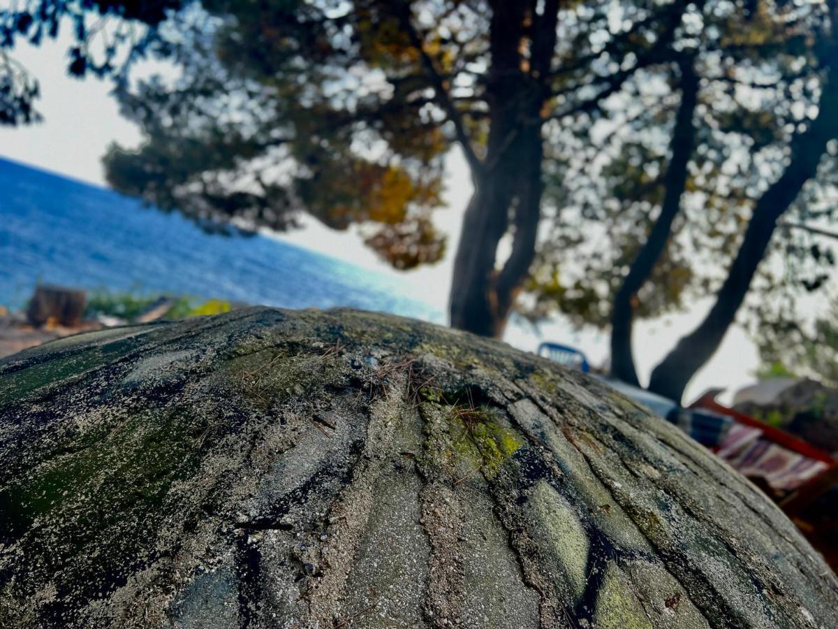 Pine Side Camp Ξενοδοχείο Χειμάρρα Εξωτερικό φωτογραφία
